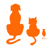animaux